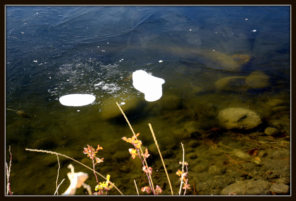 POND 076.jpg