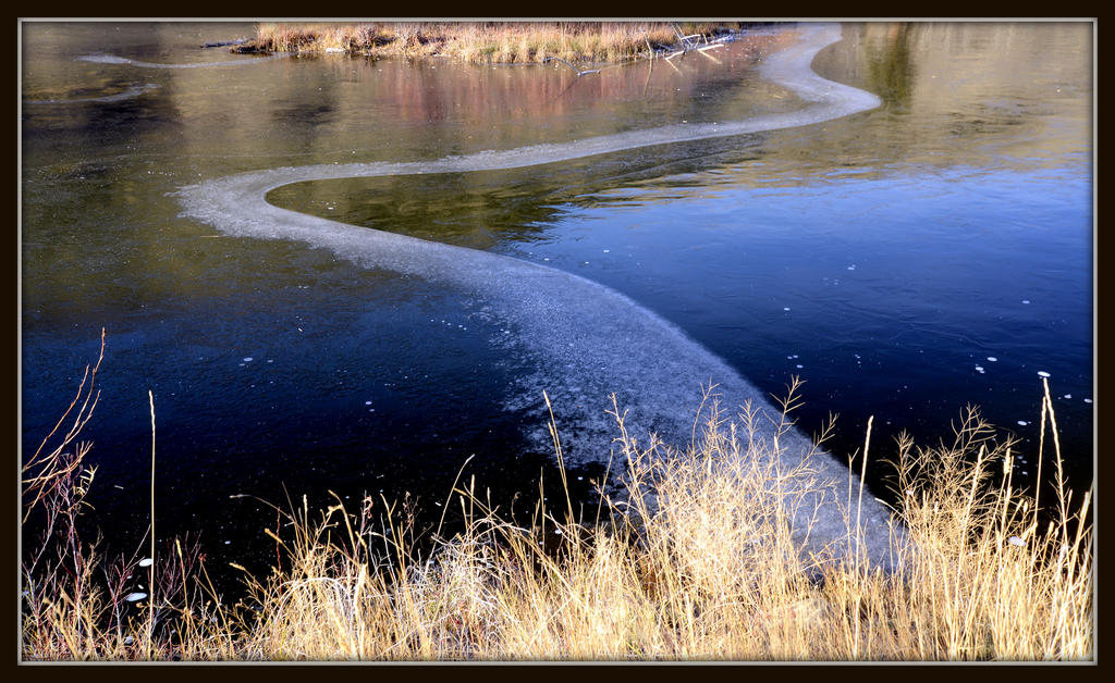 POND 093.jpg