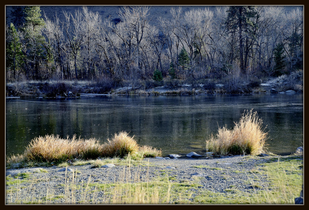 POND 151.jpg