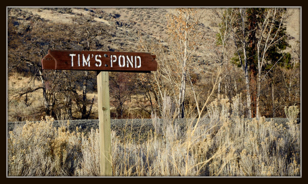 POND 155.jpg