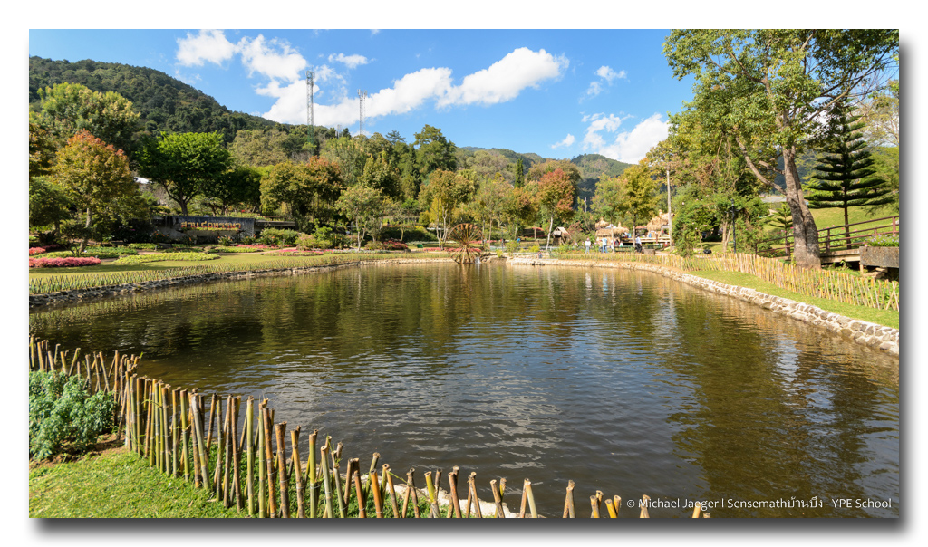 pond.jpg