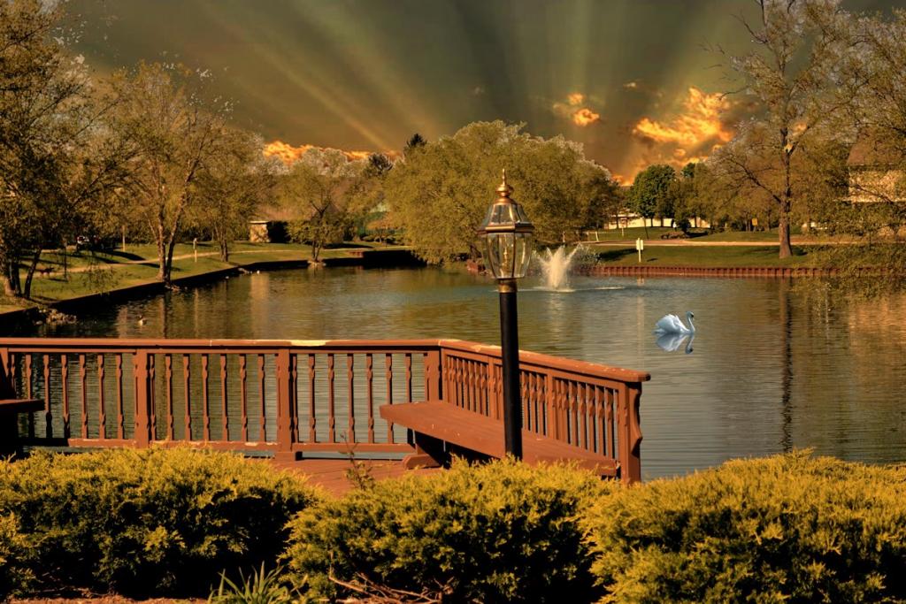 pond.jpg