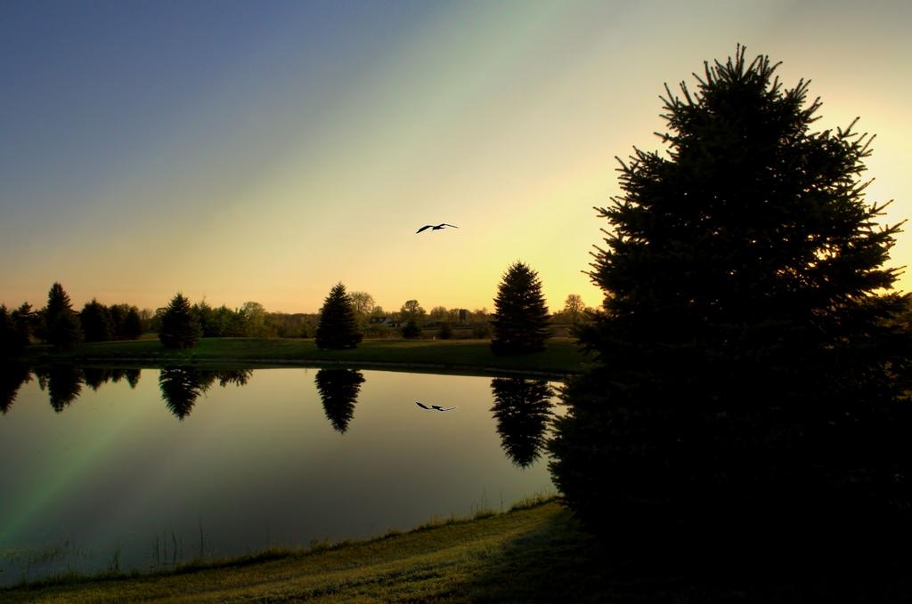 pond1_pe2000.jpg