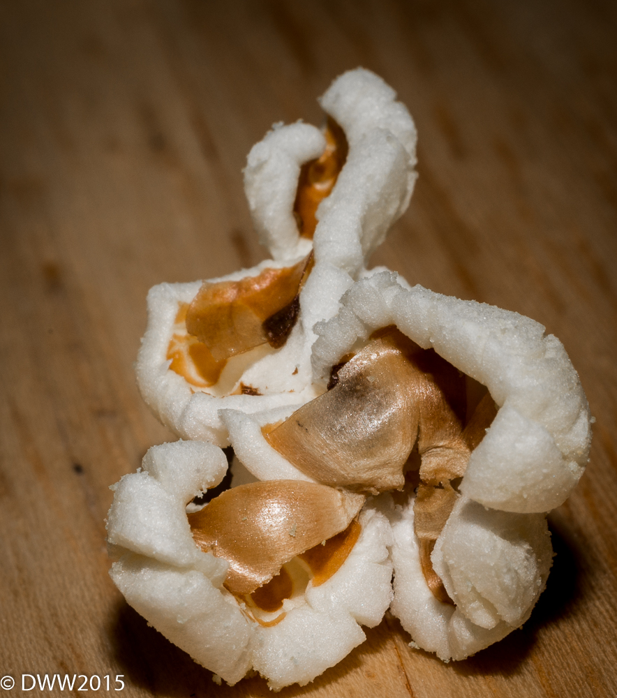 Popcorn2 (1 of 1).jpg