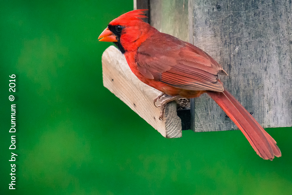 Porch Sittin-9899-Edit.jpg