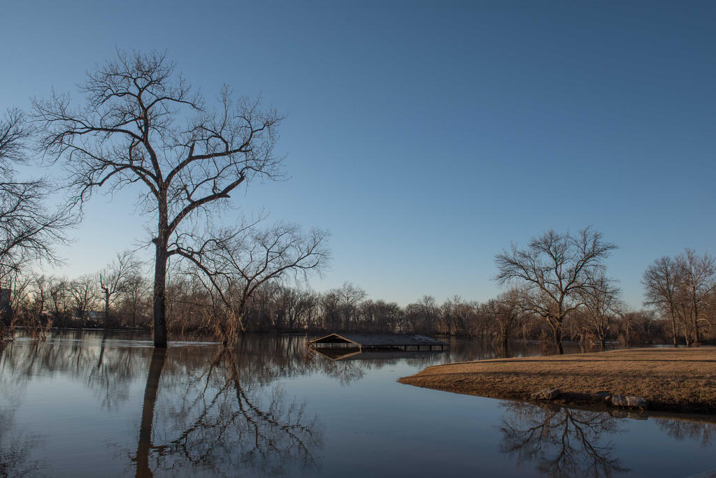 possom woods conservations area (1 of 1).jpg