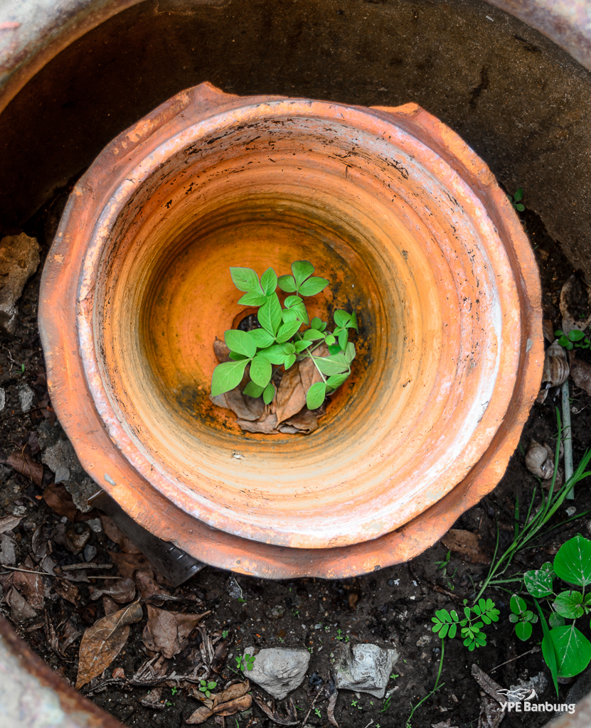 pot-in-a-pot-1.jpg
