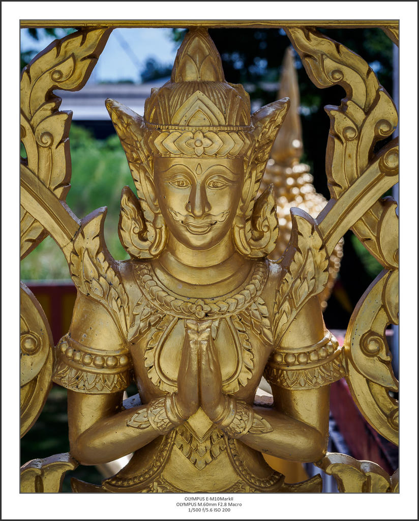 pray-1.jpg