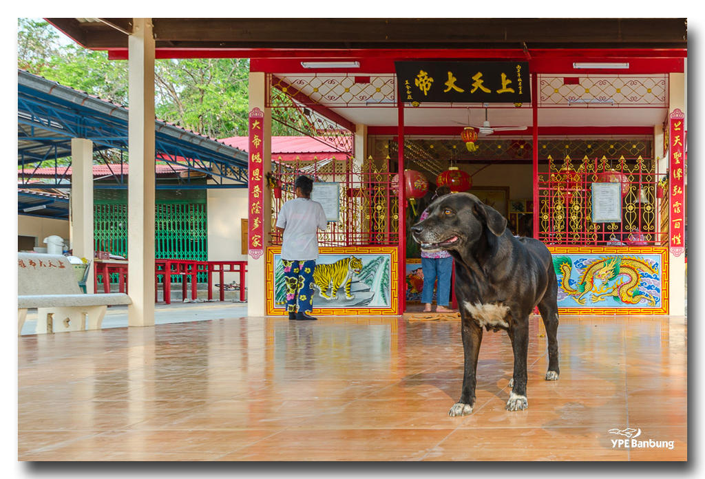 praying-8-FrameShop.jpg