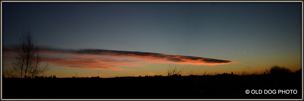 pre dawn 029 Stitch.jpg