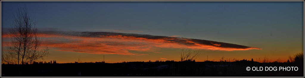 pre dawn 041 Stitch.jpg