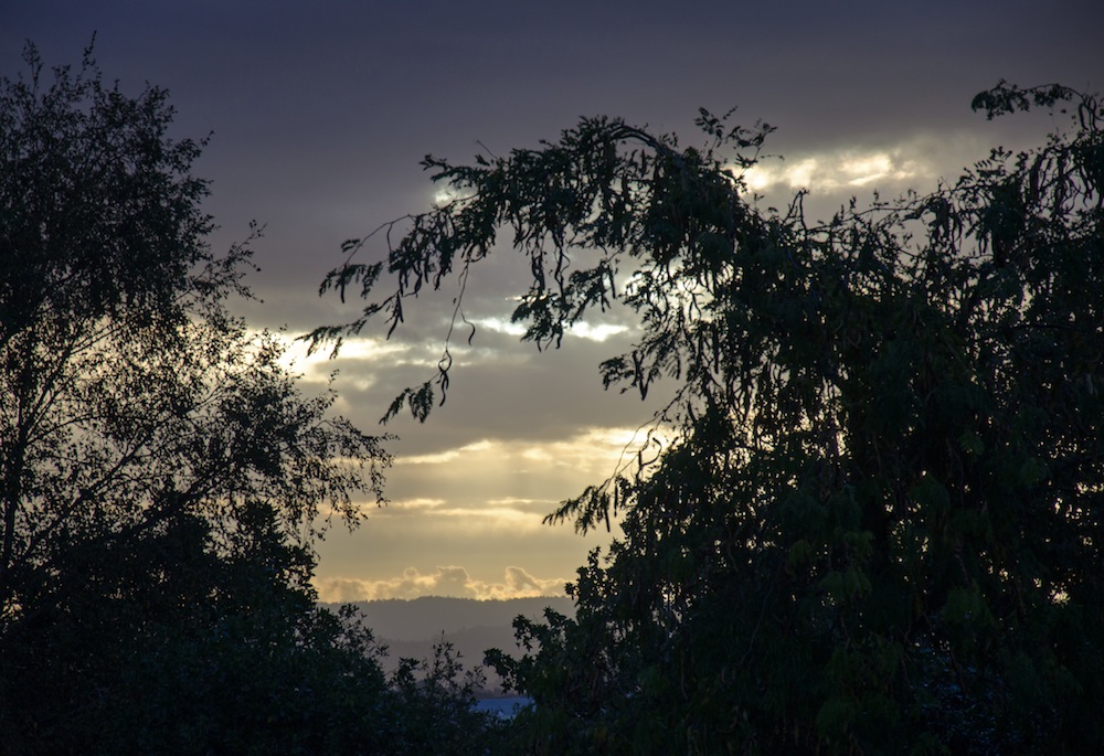 Pre sunset.jpg