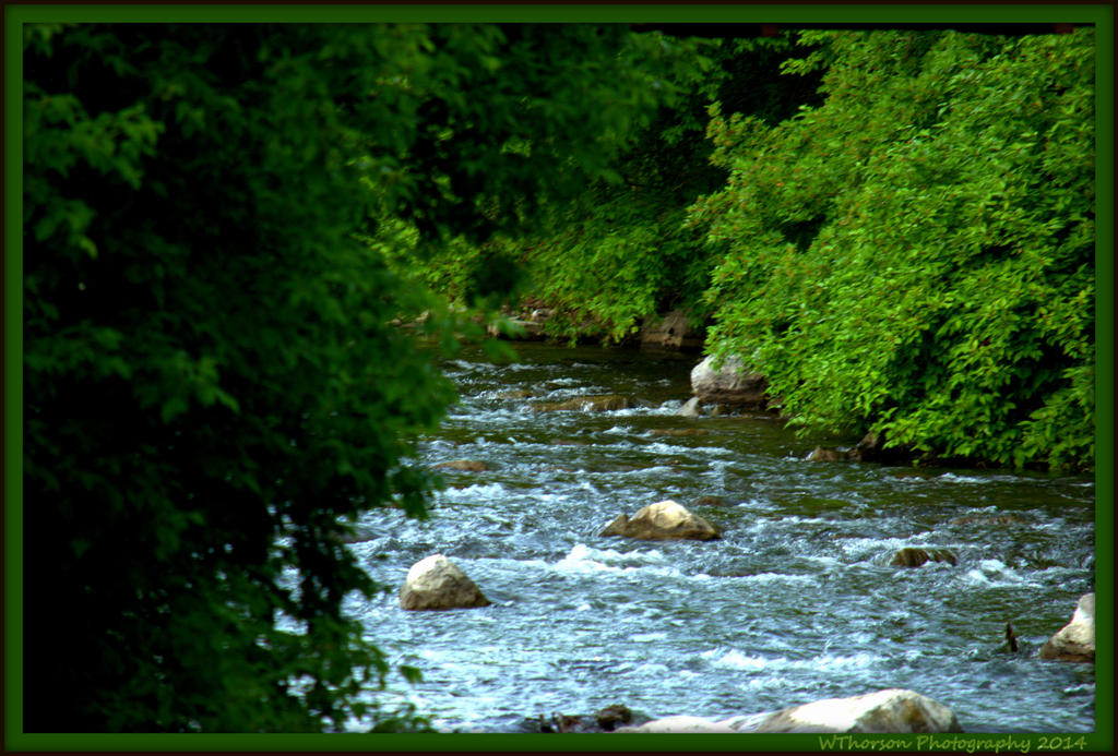 Provo River.jpg