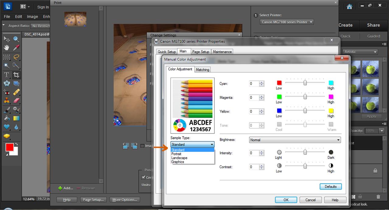 PSE printing options 3.jpg