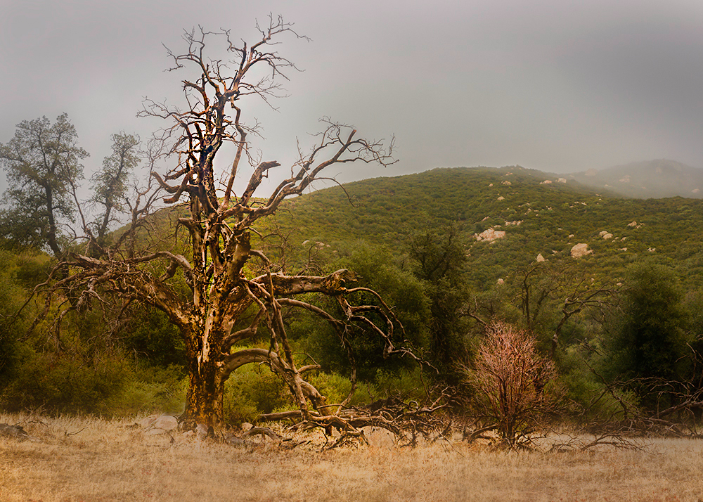 PSH_3094-2.jpg