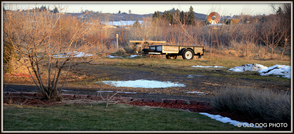 puddle 001.jpg