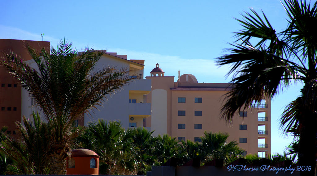 Puerto Penasco #2  12-31-2016.jpg