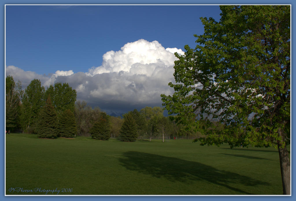 Puffy Clouds in the Park  #2 4-29-2016.jpg