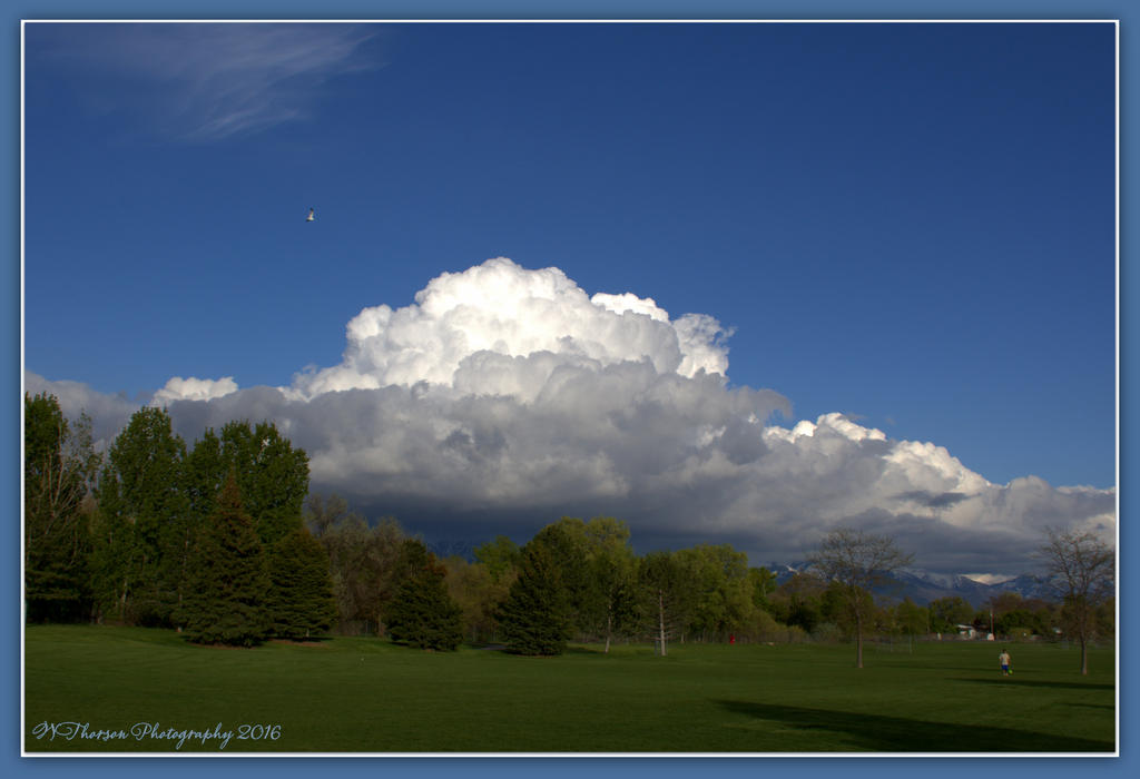 Puffy Clouds in the Park  4-29-2016.jpg