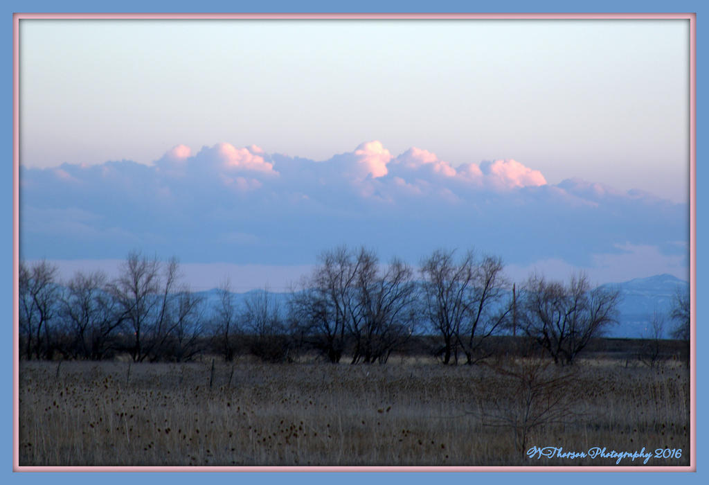 Puffy Pink Clouds 3-8-2016.jpg