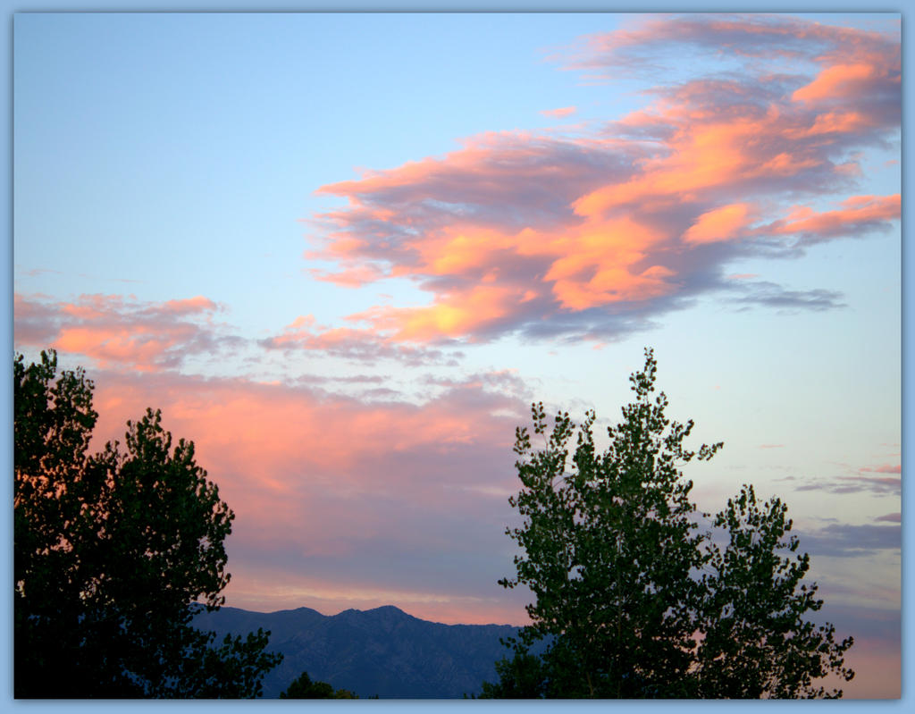 Puffy Pink Clouds.jpg