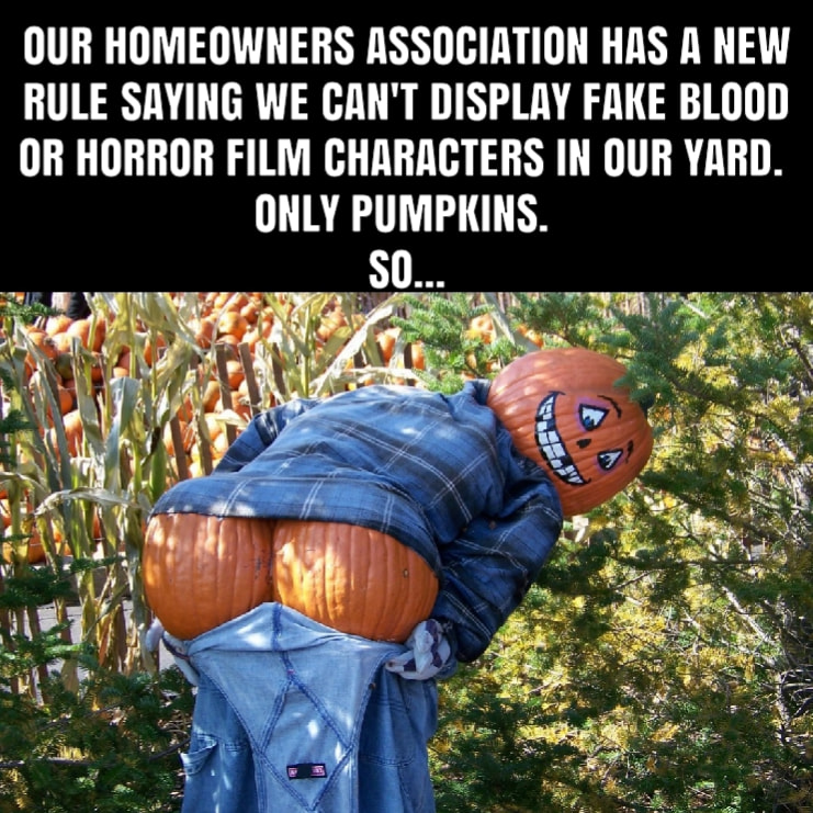 pumpkin.jpg