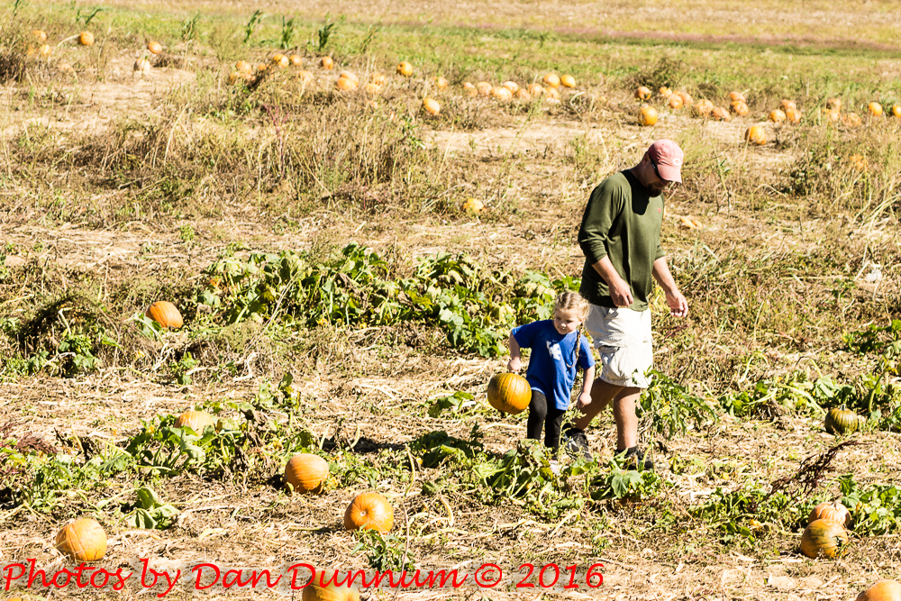 pumpkin patch day-5030.jpg
