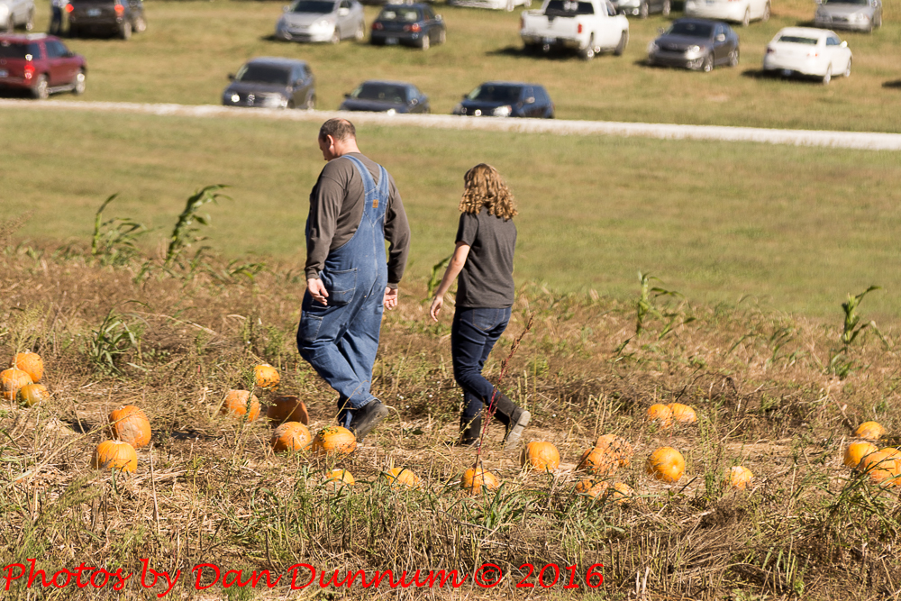 pumpkin patch day-5050.jpg