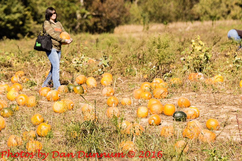 pumpkin patch day-5056.jpg