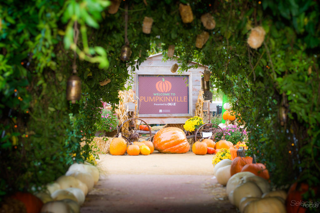 Pumpkin1.jpg