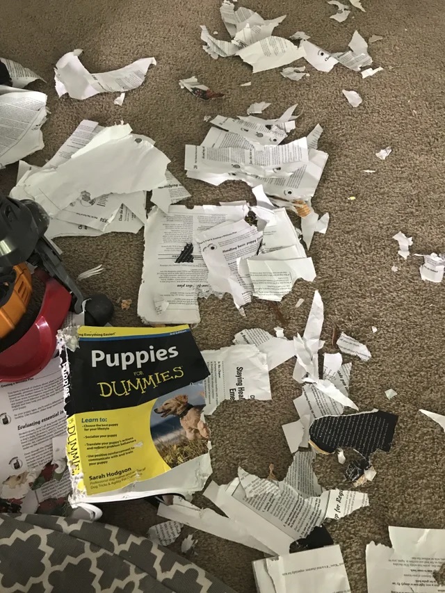 Puppy Book.jpg