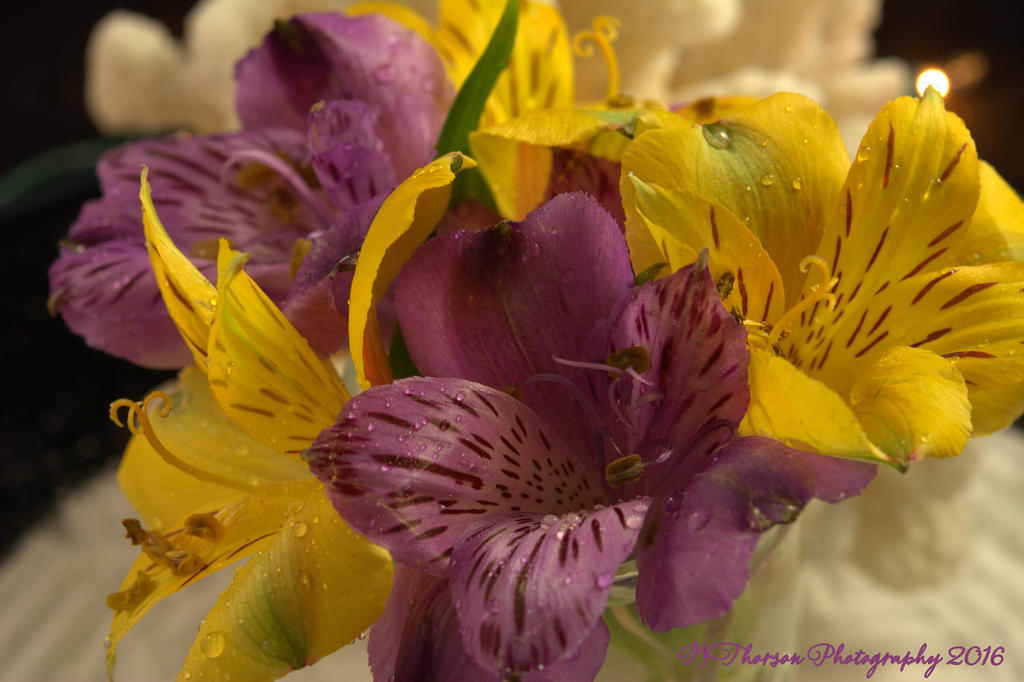 Purple and Yellow Flowers #2 11-3-2016.jpg