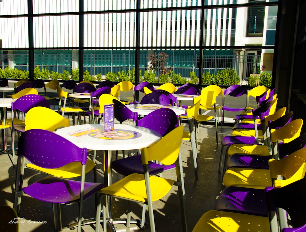 Purple and Yellow LOL.jpg
