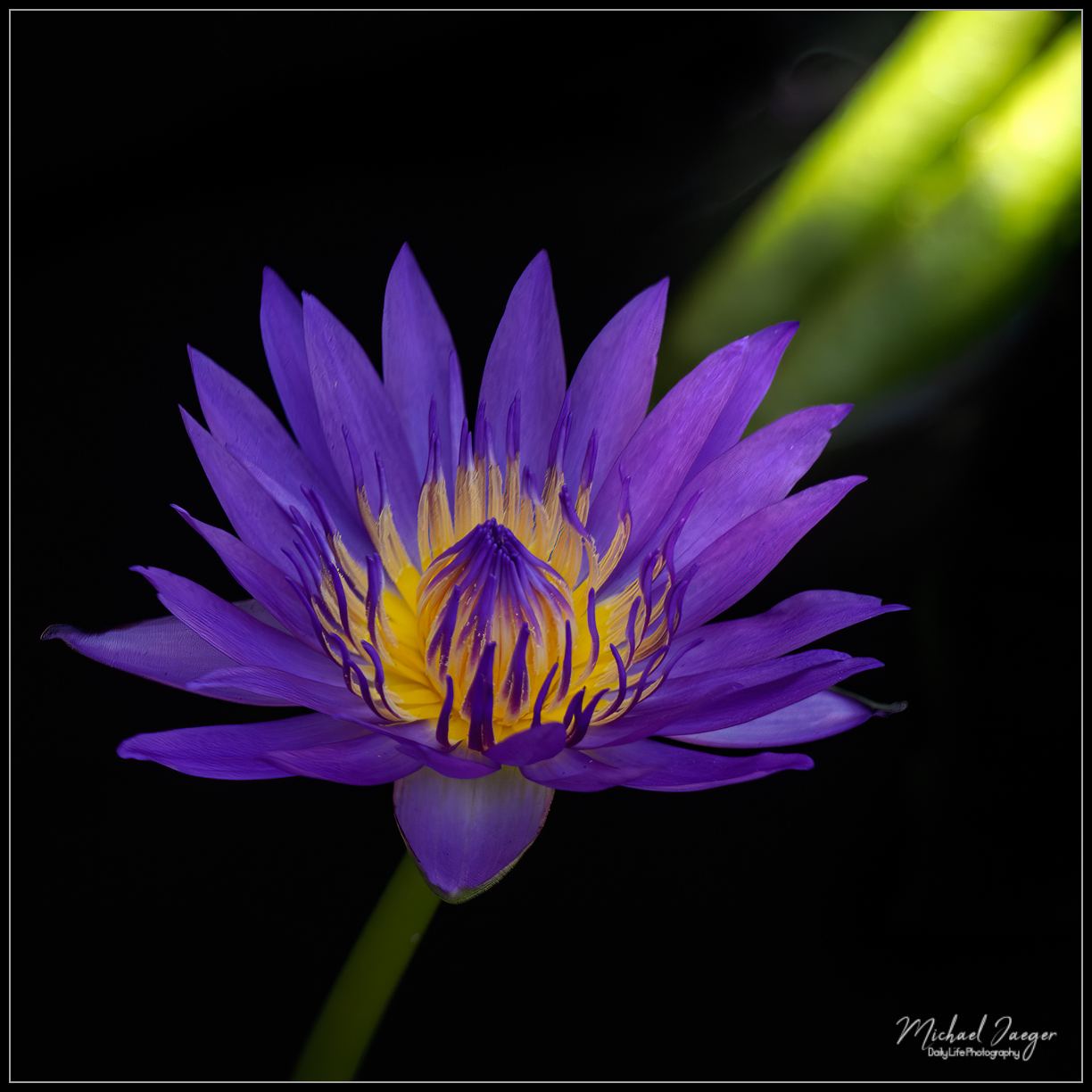 purple-light-beam-1-3.jpg