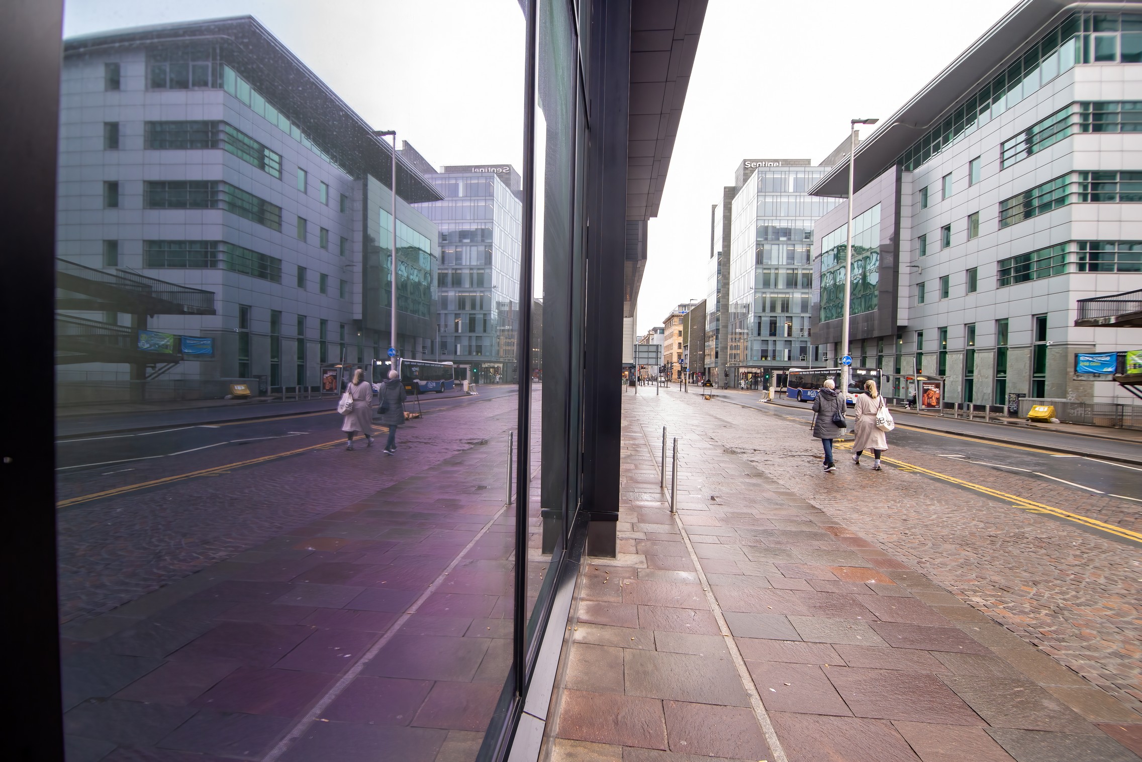 Purple Reflections jpeg.jpg