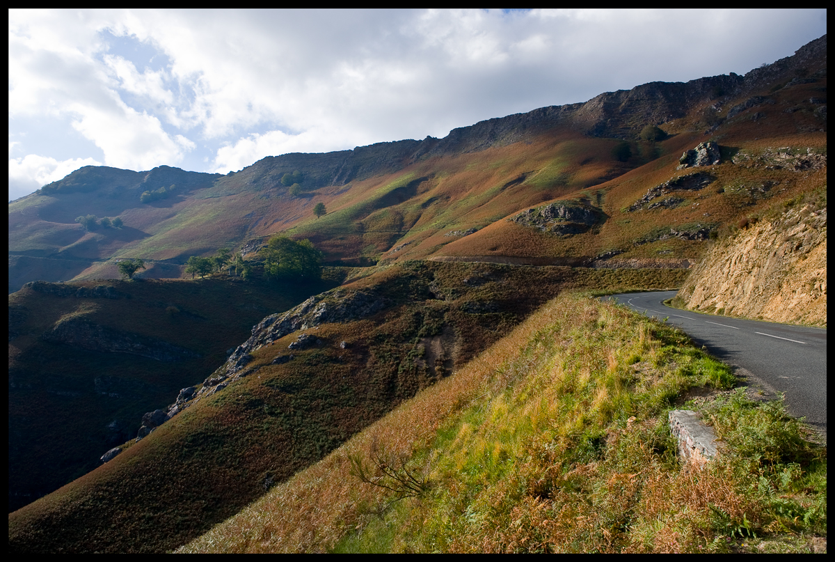 pyrenees2.jpg
