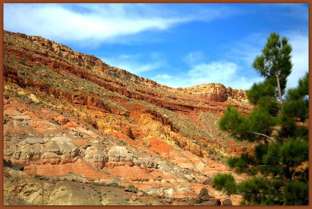 Quail Creek Strata.jpg