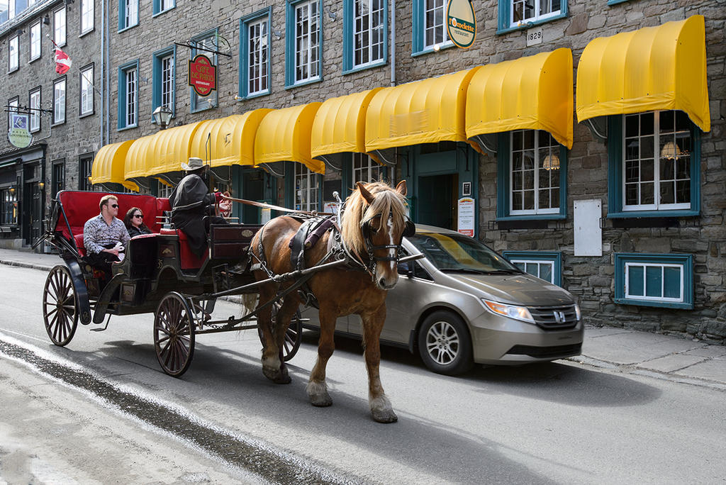 Quebec City charm.jpg