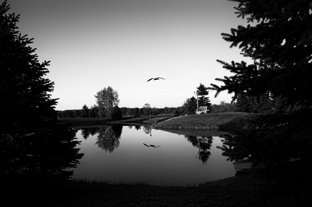 quiet evening1500 blk n wht.jpg