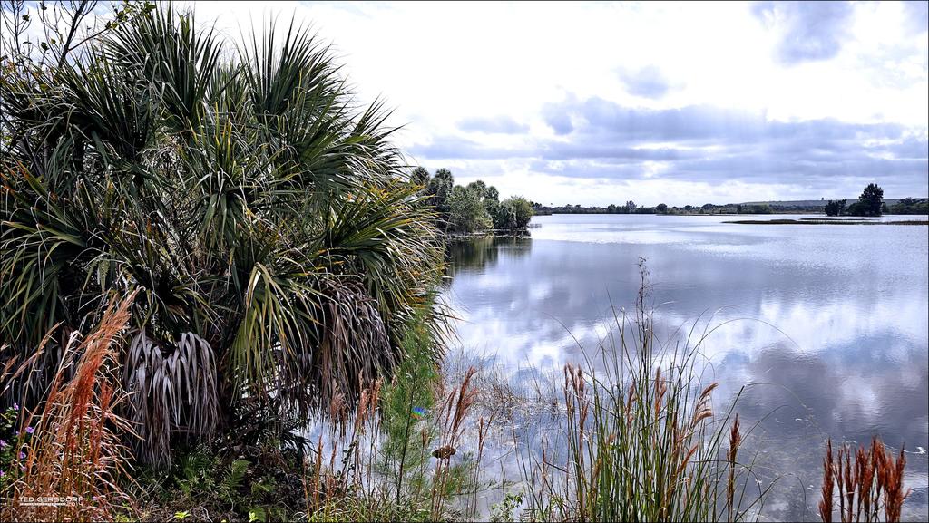 Quiet Waters I.jpg