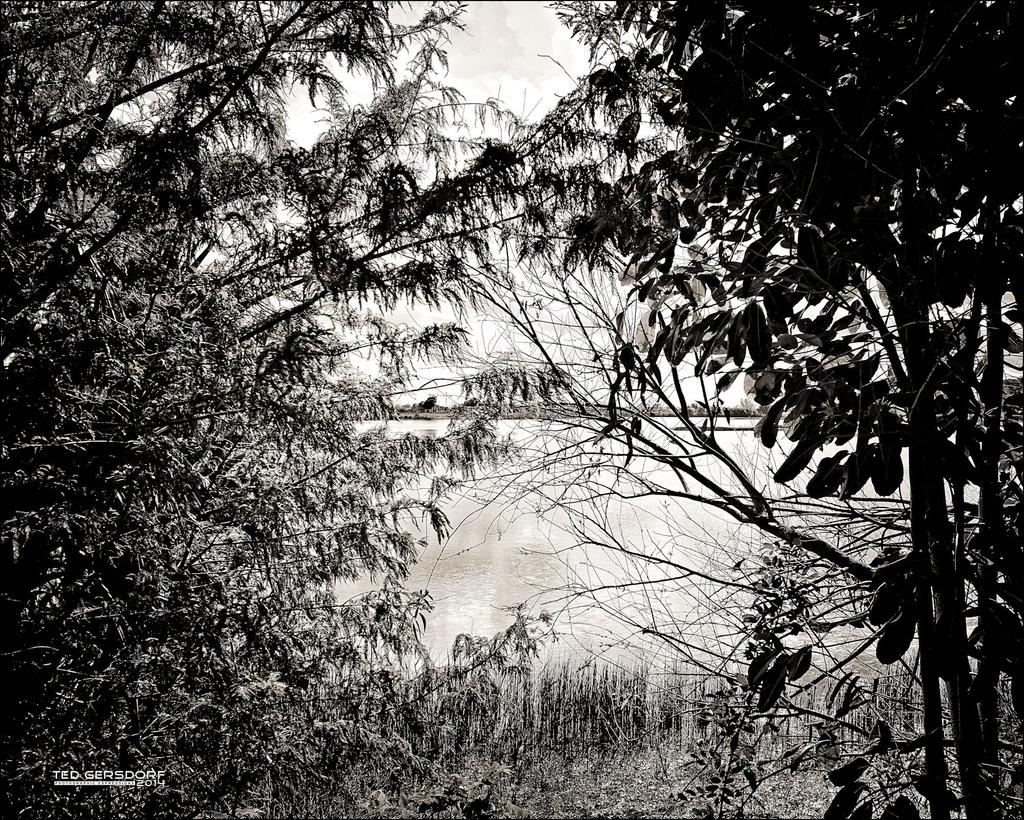 Quiet Waters V.jpg