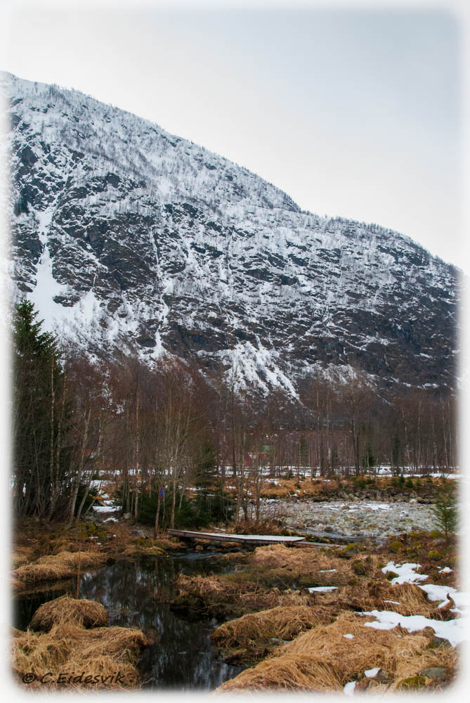 Røldal.jpg
