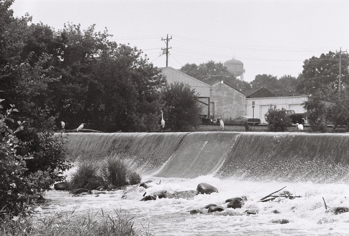 R1-09259-0012 (Medium).JPG