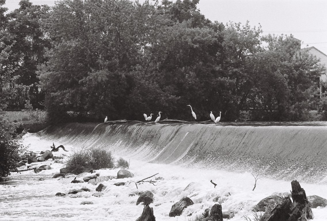 R1-09259-0013 (Medium).JPG