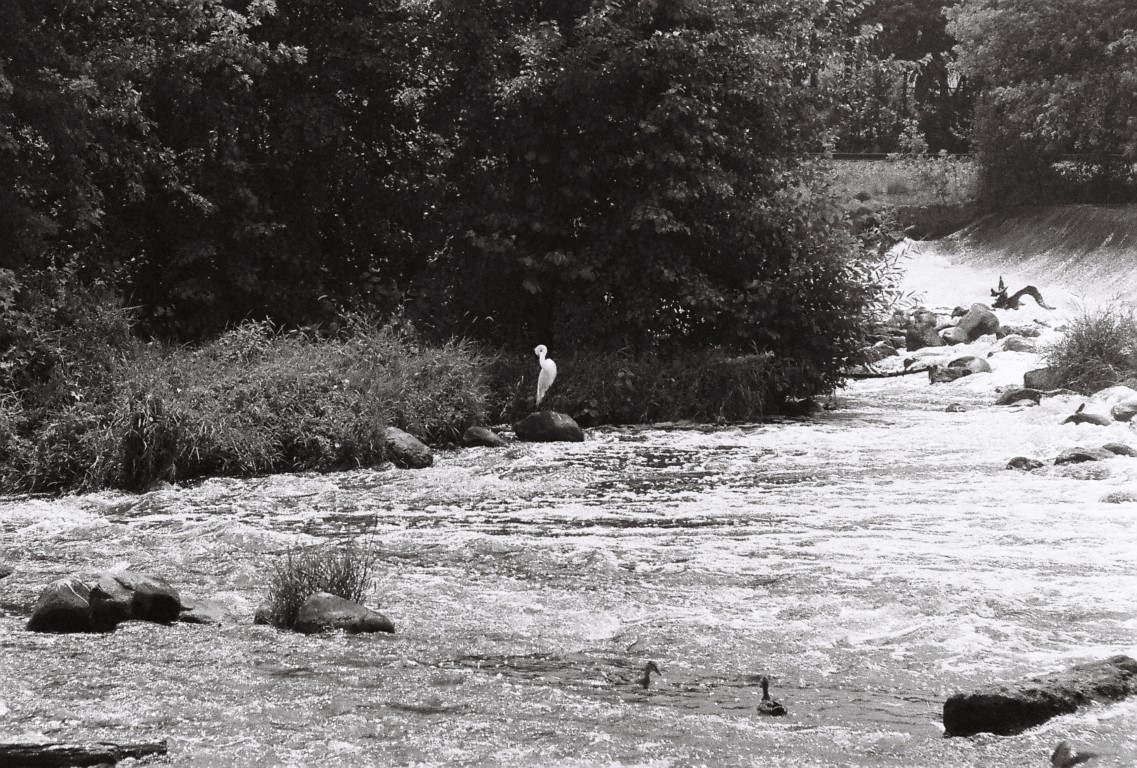 R1-09259-0015 (Medium).JPG