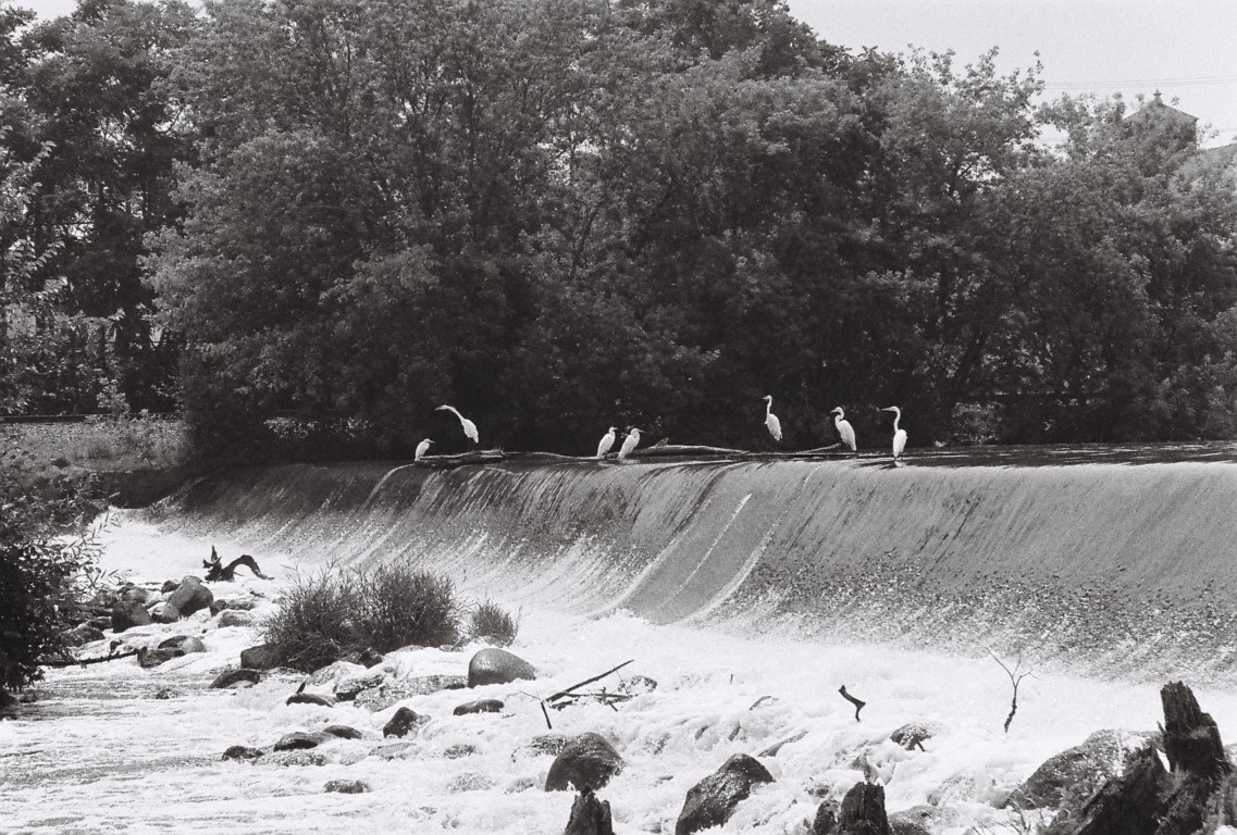 R1-09259-0016 (Medium).JPG