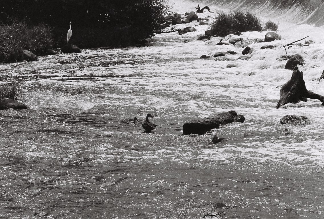 R1-09259-0017 (Medium).JPG
