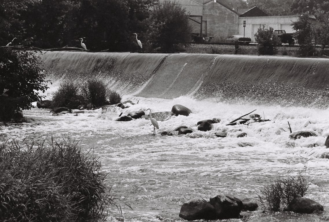 R1-09259-0018 (Medium).JPG