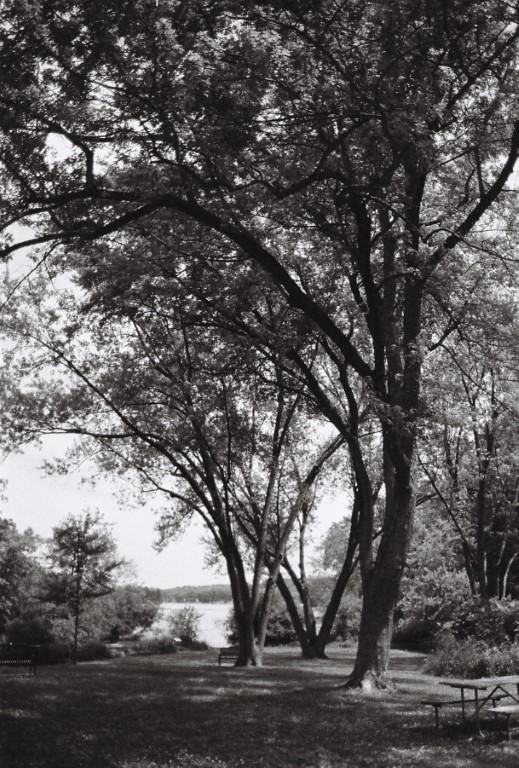 R1-09260-0015 (Medium).JPG