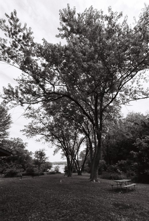 R1-09260-0016 (Medium).JPG